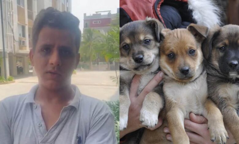 Smashed-them-against-wall-hyderabad-kills-5-stray-puppies-hacktechnews-prince-barve
