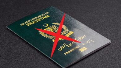 nandinis-work-visa