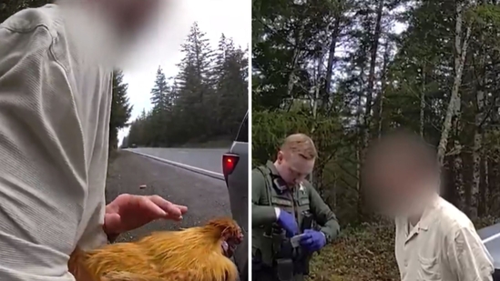 pet-chicken-stolen-by-ex-boyfriend-hacktechnews-prince-barve