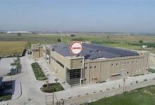 corona remedies share price