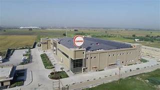 corona remedies share price